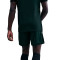 Spodenki Nike Academy 25 Dri-FIT Br