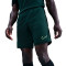 Spodenki Nike Academy 25 Dri-FIT Br
