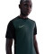 Koszulka Nike Academy 25 Dri-FIT
