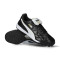Buty piłkarskie Puma King Top Turf