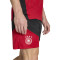 Spodenki adidas Germany Dfb Training Mundial 2026