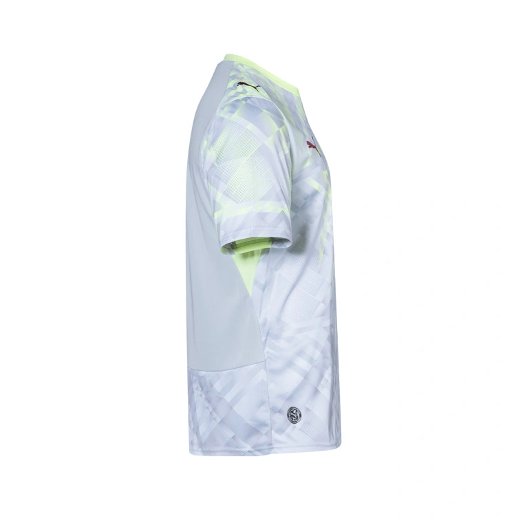camiseta-puma-portugal-fpf-primera-equipacion-portero-mundial-2026-silver-mist-fizzy-light-3