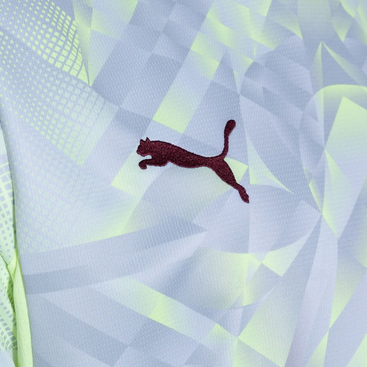 camiseta-puma-portugal-fpf-primera-equipacion-portero-mundial-2026-silver-mist-fizzy-light-4