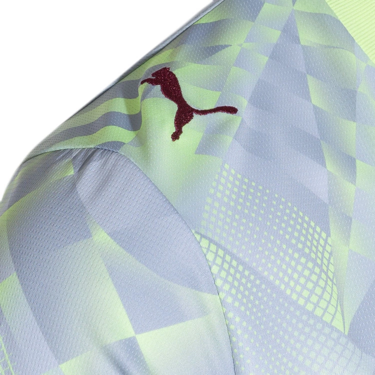 camiseta-puma-portugal-fpf-primera-equipacion-portero-mundial-2026-silver-mist-fizzy-light-6