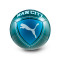 Piłka Puma Manchester City