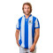 Koszulka Coolligan 1909 Real Sociedad
