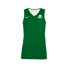 Top Reversible Team Basketball Niño A.E. Les Corts Sosna Zielono-Biała