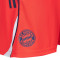 Spodenki adidas FC Bayern Training 2025-2026