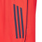 Spodenki adidas FC Bayern Training 2025-2026