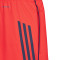 Spodenki adidas FC Bayern Training 2025-2026