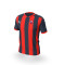 Koszulka Puma CD Vandalia de Peligros CF 1ª Equipación 2025-2026