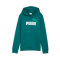 Bluza Puma Essentials Graphics Dziecko