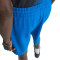 Spodenki adidas Jude Bellingham