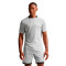 Koszulka Nike Academy 25 Dri-FIT SS Top Br