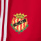 Spodenki adidas Gimnàstic de Tarragona Trening Players 2025-2026