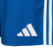 Spodenki adidas Gimnàstic de Tarragona 2025-2026 Trening Bramkarz