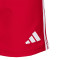 Spodenki adidas Kids Gimnàstic de Tarragona 2025-2026 Trening