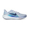 Buty Nike Air Zoom Pegasus 41