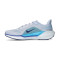 Buty Nike Air Zoom Pegasus 41