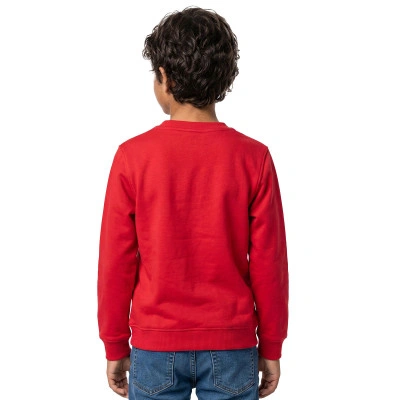 Bluza Customizable Bawełna Park 26 Dziecięca