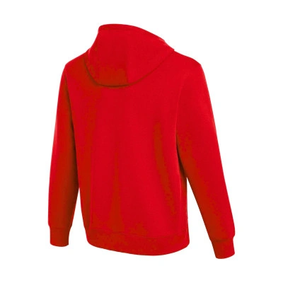Bluza Customizable con Capucha Algodón Park 26 Niño