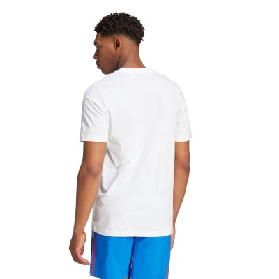 Koszulka Koszulka Włochy FIGC