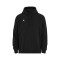 Bluza Jordan Fleece Team 25