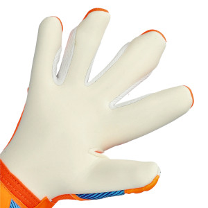 DŁOŃ-1