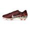 Buty piłkarskie Nike Air Zoom Mercurial Vapor 16 Academy FG/MG