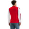 Koszulka adidas Arsenal Fc Strój domowy M/L 2026-2027