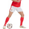 Spodenki adidas Benfica Strój domowy 2026-2027