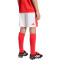 Spodenki adidas S.L. Benfica Strój domowy 2026-2027 Dziecięcy