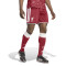 Spodenki adidas Liverpool FC Strój domowy 2026-2027