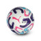 Piłka Puma Stellar Cup Premier League