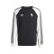Bluza adidas Juventus Originals Collection Fanswear 2025-2026