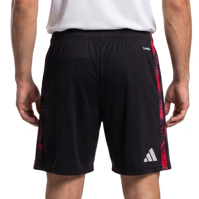 Spodenki Slb Benfica Tercera Equipación 2026-2027