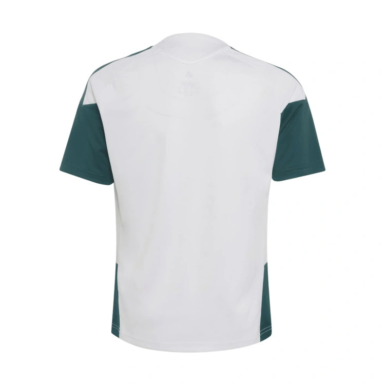 camiseta-adidas-real-madrid-training-ucl-2026-2027-nino-whiterich-green-6