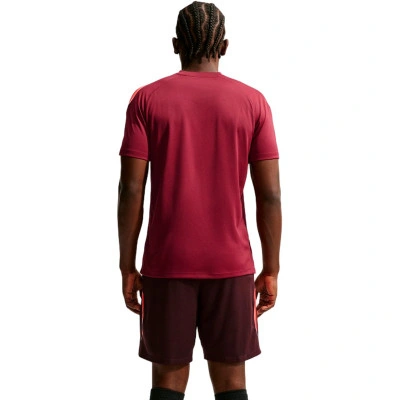 Koszulka Nike Strike Dri-Fit