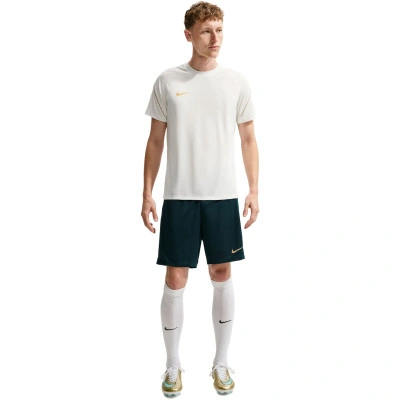 Koszulka Dri-Fit Strike