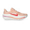 Buty Nike Winflo 12 Kobieta