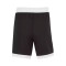 Spodenki Nike Team 25