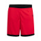 Spodenki Nike Team 25