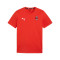 Koszulka Puma teamGOAL Cotton Kid Milan Academy World