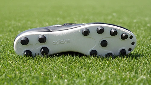 Naturalna trawa (FG)